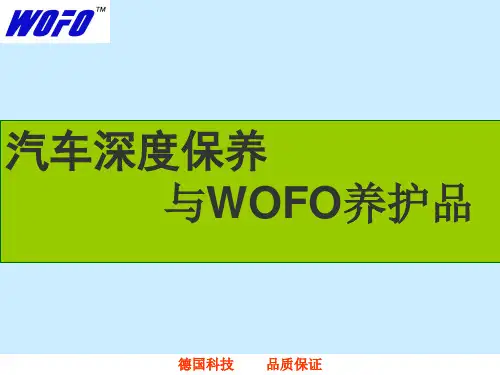 WOFO汽车燃油系统深化保养