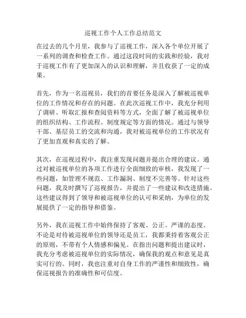 巡视工作个人工作总结范文