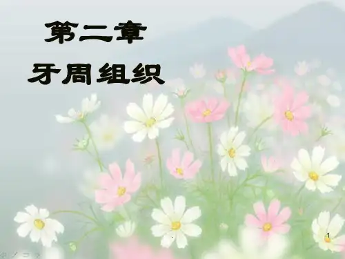 牙周组织ppt课件