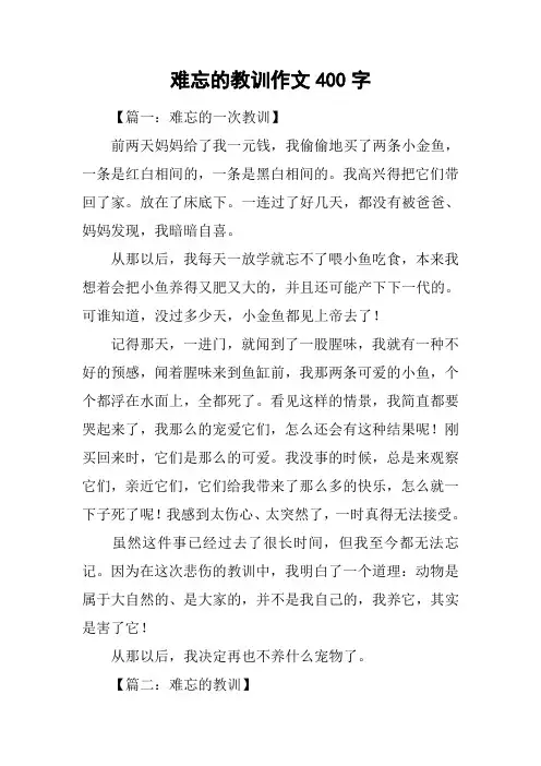 难忘的教训作文400字