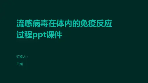 流感病毒在体内的免疫反应过程ppt课件