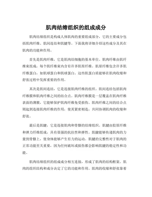 肌肉结缔组织的组成成分