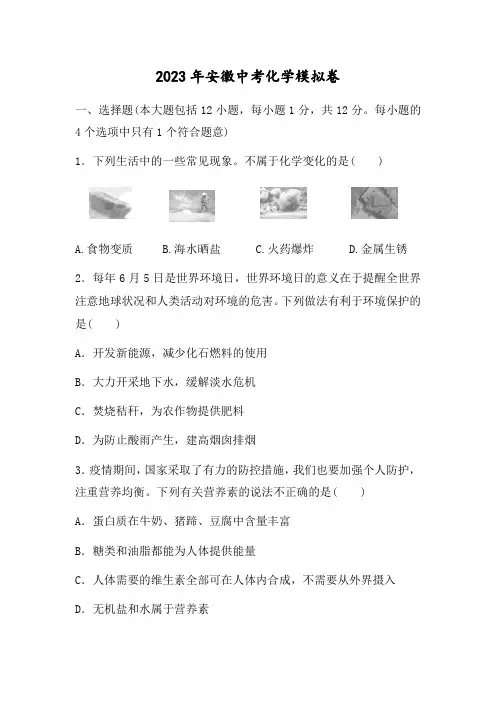 2023年安徽中考化学模拟卷【含答案】