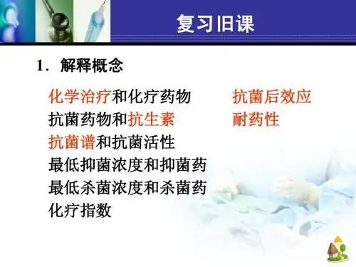 β内酰胺