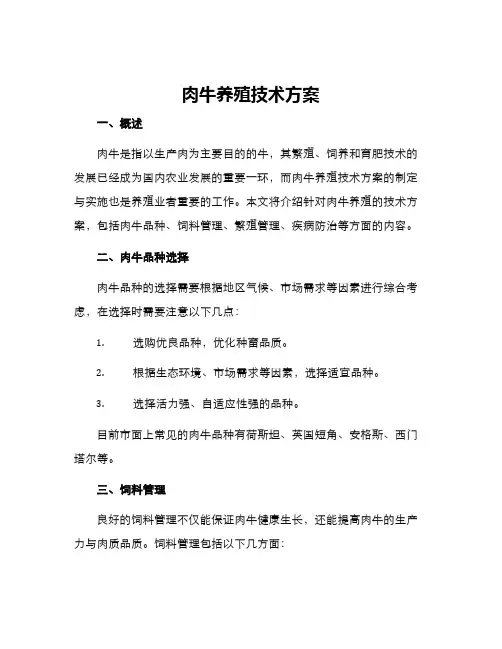 肉牛养殖技术方案