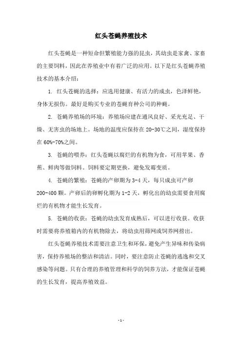 红头苍蝇养殖技术