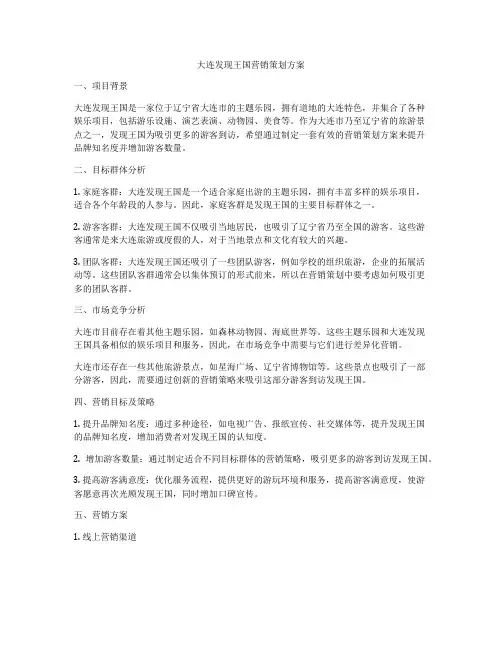 大连发现王国营销策划方案