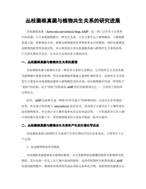 丛枝菌根真菌与植物共生关系的研究进展