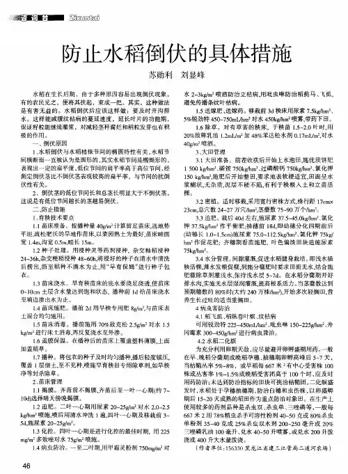 防止水稻倒伏的具体措施