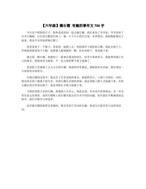 【六年级】摘石榴 有趣的事作文700字