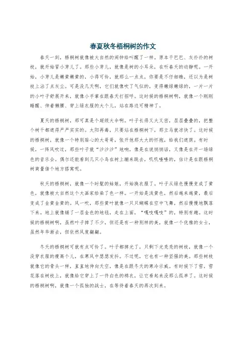 春夏秋冬梧桐树的作文