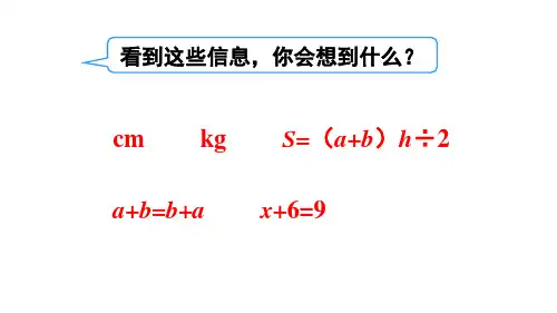 人教版六年级下册数学6.7.式与方程(1)课件