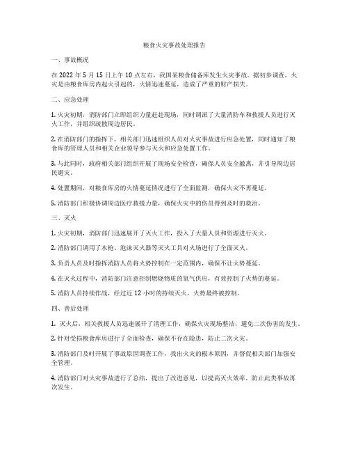 粮食火灾事故处理报告