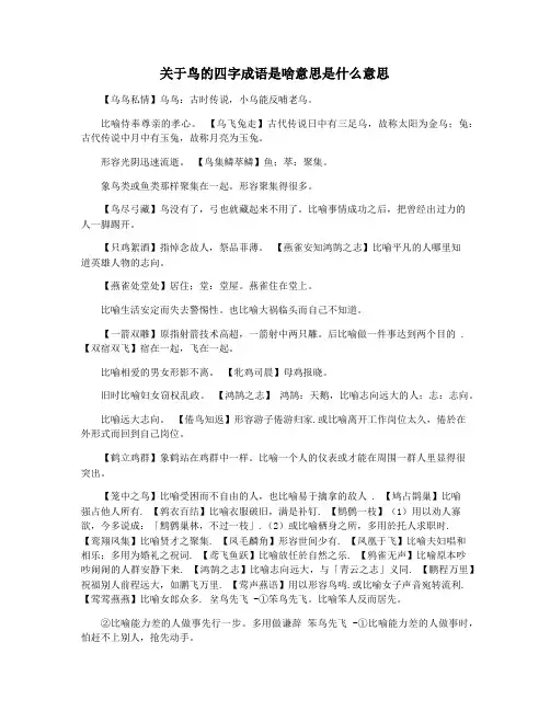 关于鸟的四字成语是啥意思是什么意思