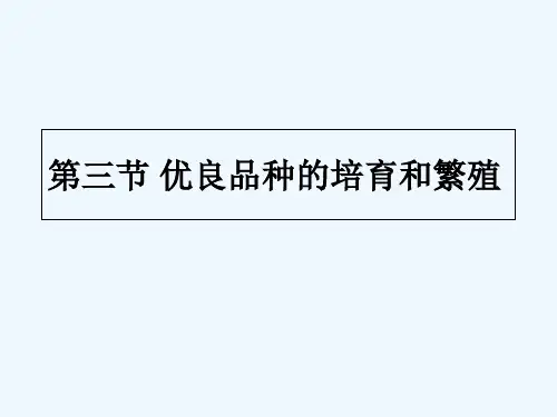 优良品种的培育和繁殖-PPT