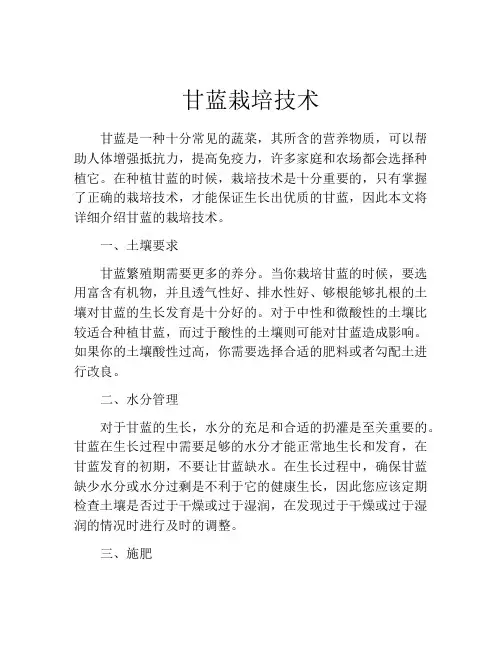 甘蓝栽培技术