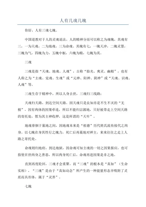 人有几魂几魄
