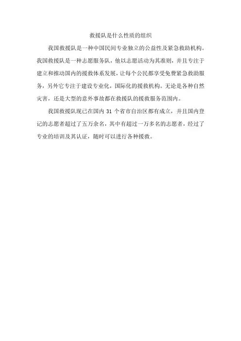 救援队是什么性质的组织