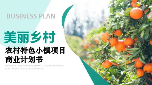 乡村振兴特色小镇美丽乡村旅游项目计划书PPT