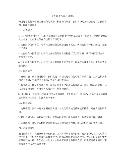 文化经费自查自纠报告