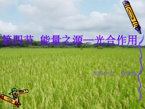人教版教学课件能量之源──光与光合作用 课件 4
