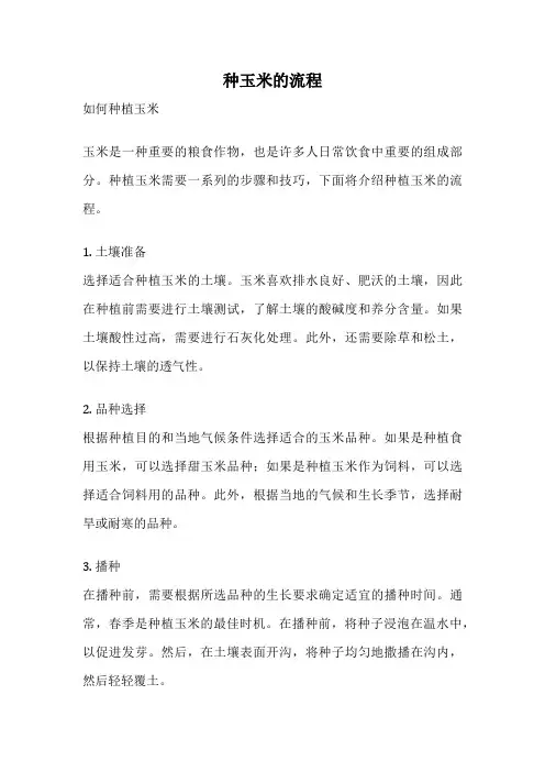 种玉米的流程