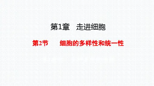 【课件】细胞的多样性和统一性第一课时课件2022-2023学年高一上学期生物人教版必修1