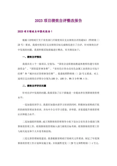 2023项目绩效自评整改报告