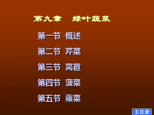 蔬菜栽培学课件第九章绿叶蔬菜