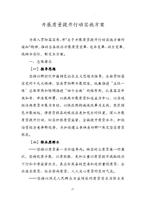 开展质量提升行动实施计划方案