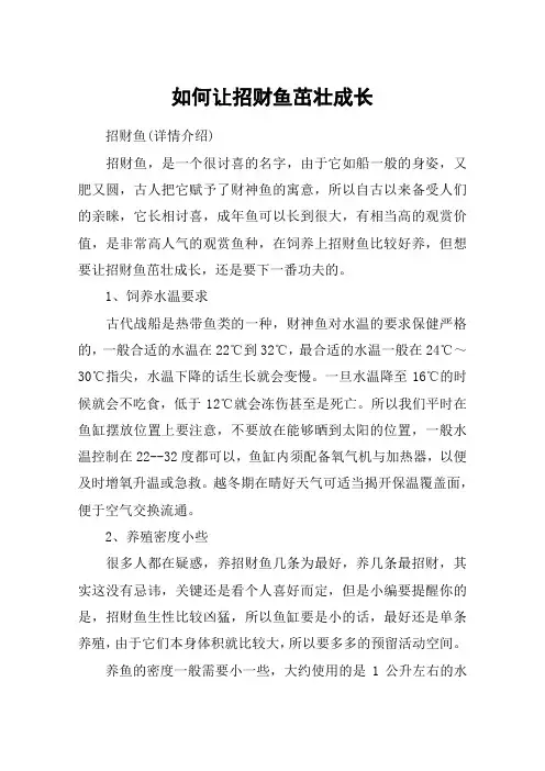 如何让招财鱼茁壮成长