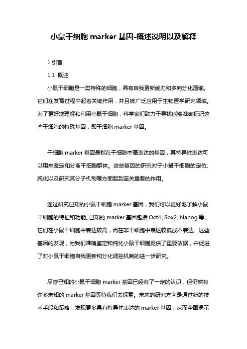 小鼠干细胞marker基因-概述说明以及解释