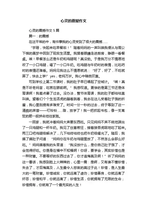 心灵的震撼作文
