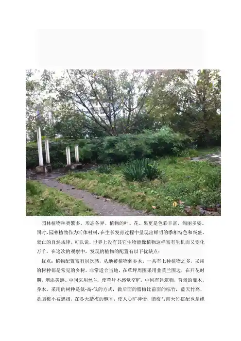 植物配置