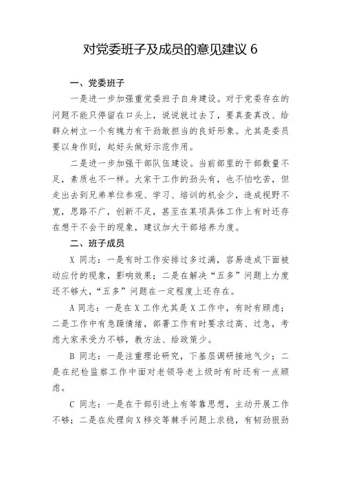 对党委班子及成员的意见建议6