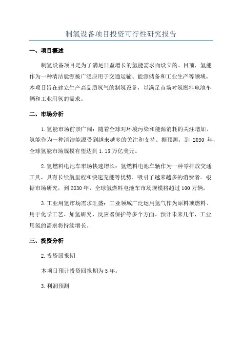 制氢设备项目投资可行性研究报告