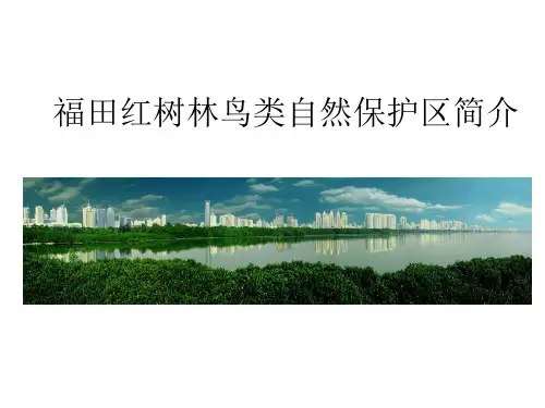 福田红树林鸟类自然保护区简介