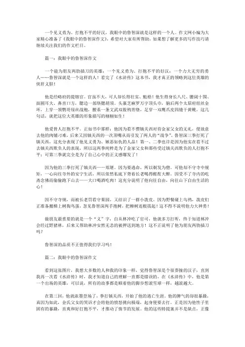 我眼中的鲁智深作文