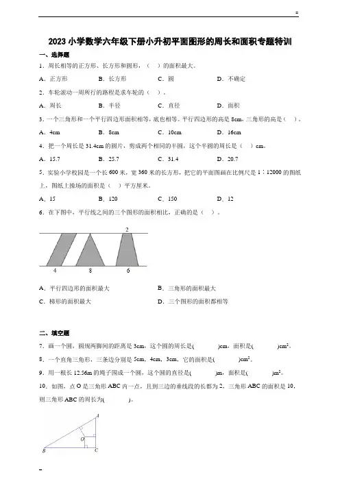 2023小学数学六年级下册小升初平面图形的周长和面积专题特训及答案