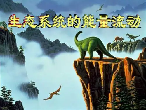 人教版必修3第五章第二节生态系统的能量流动(共66张PPT)