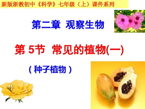 第五节常见植物(一)新版