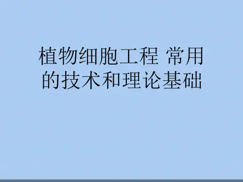 植物细胞工程常用的技术和理论基础