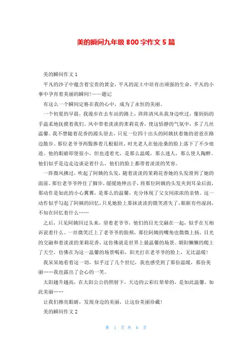 美的瞬间九年级800字作文5篇