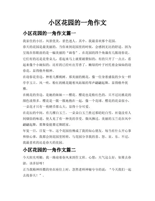 小区花园的一角作文