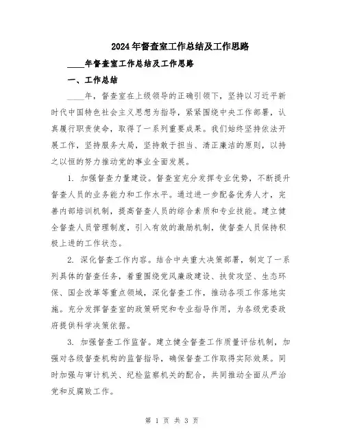 2024年督查室工作总结及工作思路
