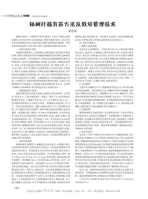 杨树扦插育苗方法及栽培管理技术