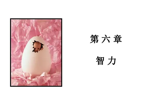 智力PPT课件
