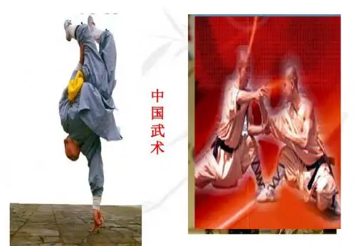 《灿烂的中华文化》PPT课件