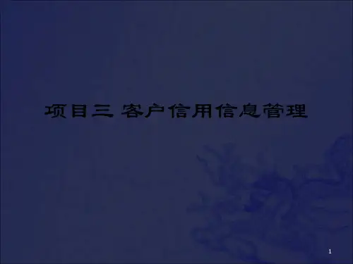 《客户信用信息管理》PPT课件_OK