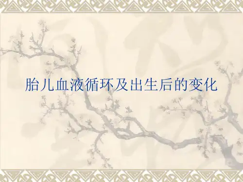 胎儿血液循环及出生后的变化